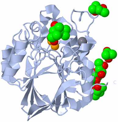 Image Biological Unit 1