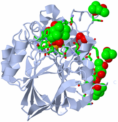 Image Biol. Unit 1 - sites