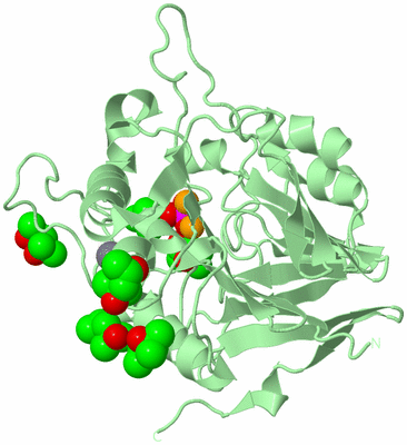 Image Biological Unit 2