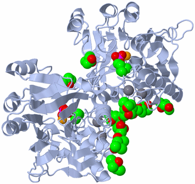 Image Biological Unit 3