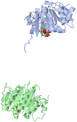 Image Asym. Unit - sites