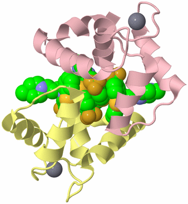 Image Biological Unit 2