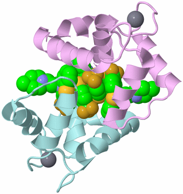 Image Biological Unit 3