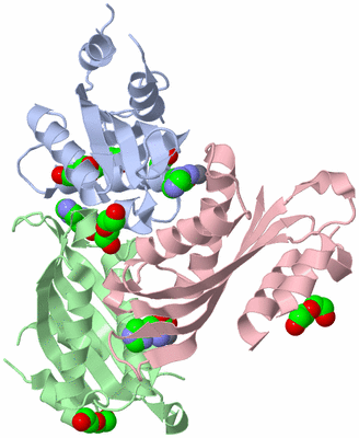 Image Asymmetric Unit