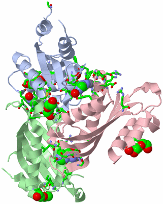 Image Asym. Unit - sites