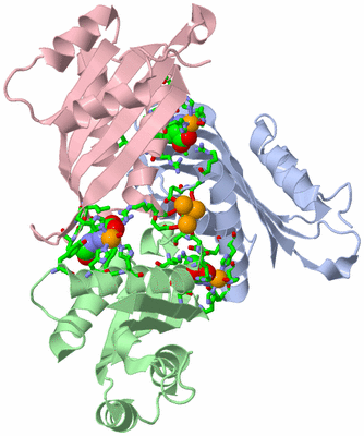 Image Asym. Unit - sites