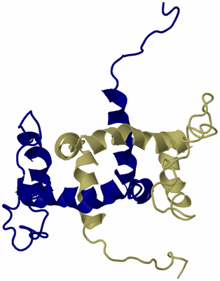 Image NMR Structure - model 1