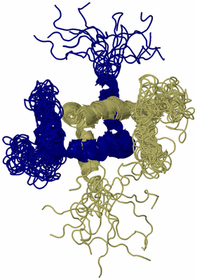 Image NMR Structure - all models