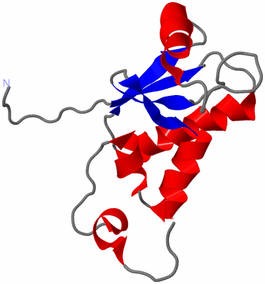 Image NMR Structure - model 1