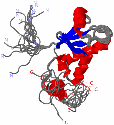 Image NMR Structure - all models