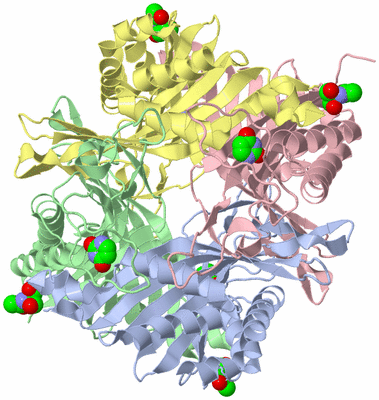 Image Asym./Biol. Unit