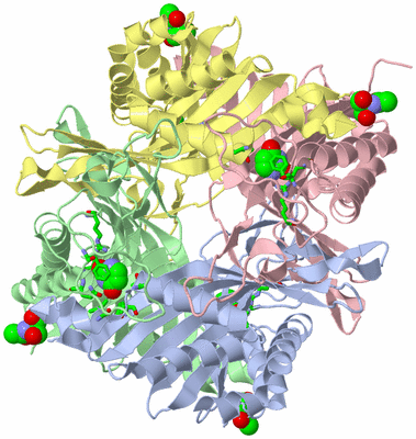 Image Asym./Biol. Unit - sites