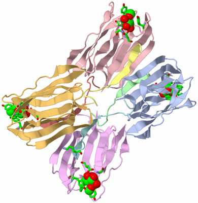 Image Asym./Biol. Unit - sites