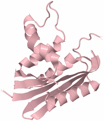 Image Biological Unit 3