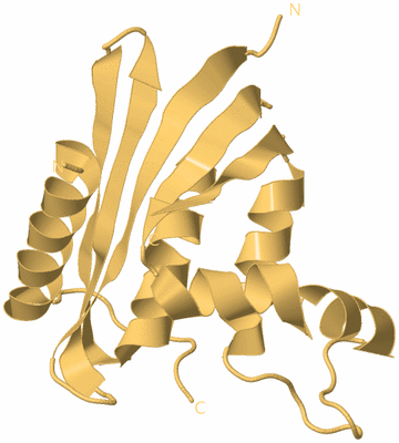 Image Biological Unit 7