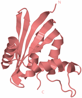 Image Biological Unit 8