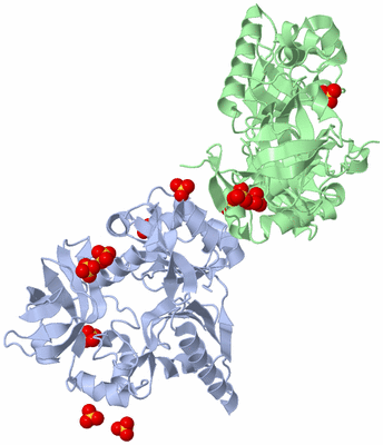 Image Biological Unit 2