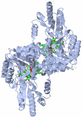 Image Biol. Unit 1 - sites