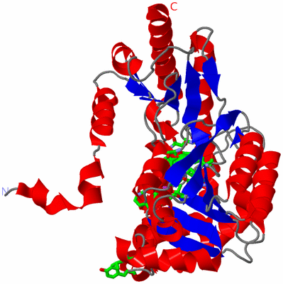 Image Asym. Unit - sites