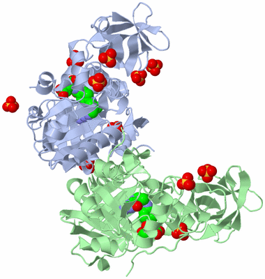 Image Asym./Biol. Unit