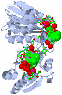 Image Biol. Unit 1 - sites