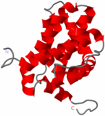 Image NMR Structure - model 1