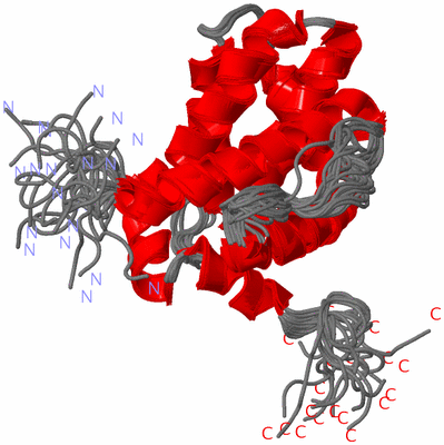 Image NMR Structure - all models