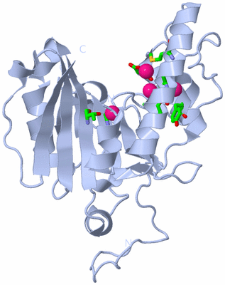 Image Biol. Unit 1 - sites