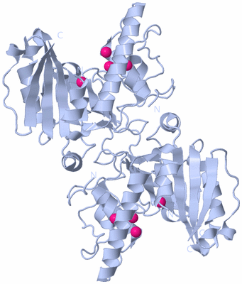 Image Biological Unit 2