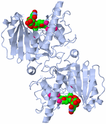 Image Biological Unit 2