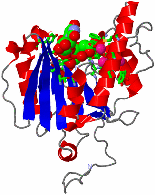 Image Asym. Unit - sites