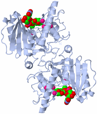 Image Biological Unit 2