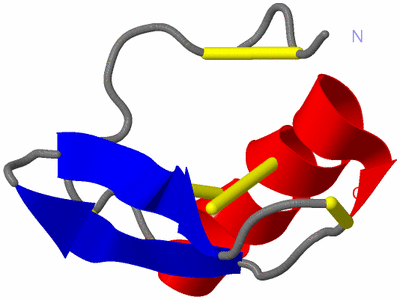 Image NMR Structure - model 1