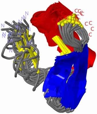 Image NMR Structure - all models