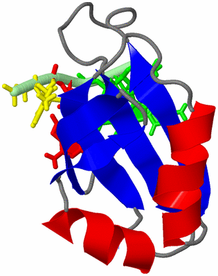 Image NMR Structure - model 1