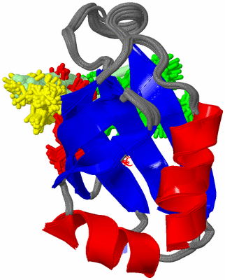 Image NMR Structure - all models