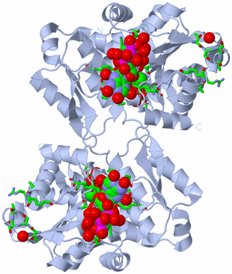 Image Biol. Unit 1 - sites