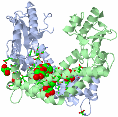 Image Asym./Biol. Unit - sites