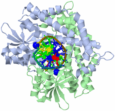 Image Biological Unit 1