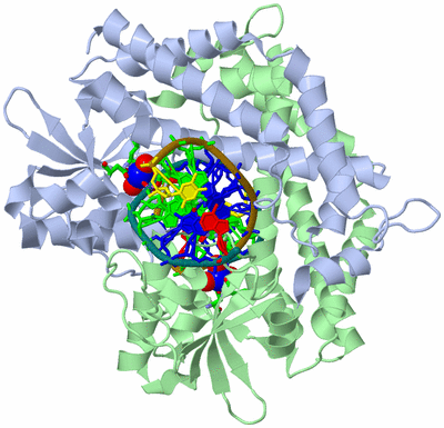 Image Biol. Unit 1 - sites