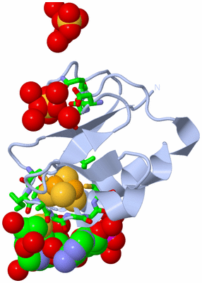 Image Biol. Unit 1 - sites