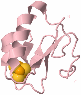 Image Biological Unit 3