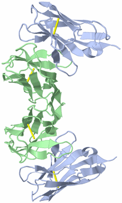 Image Biological Unit 1