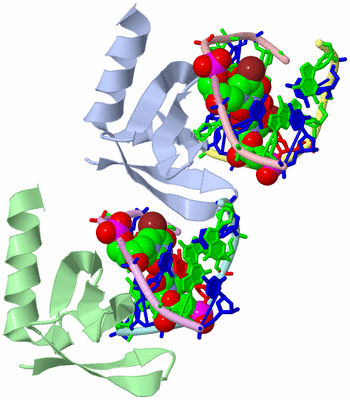 Image Asym./Biol. Unit