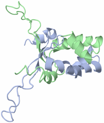 Image NMR Structure - model 1