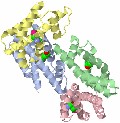 Image Asym./Biol. Unit