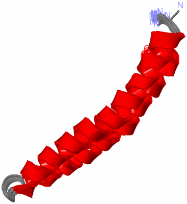 Image NMR Structure - all models