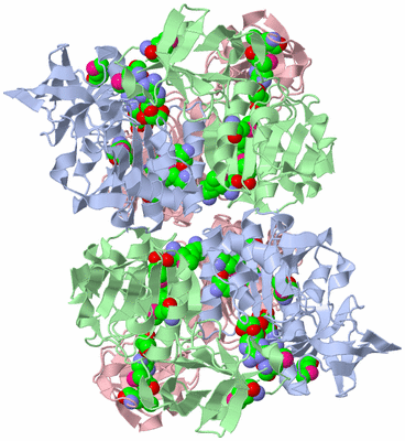 Image Biological Unit 1