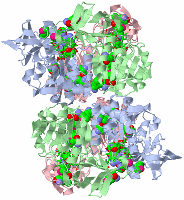 Image Biol. Unit 1 - sites
