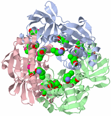 Image Biological Unit 2